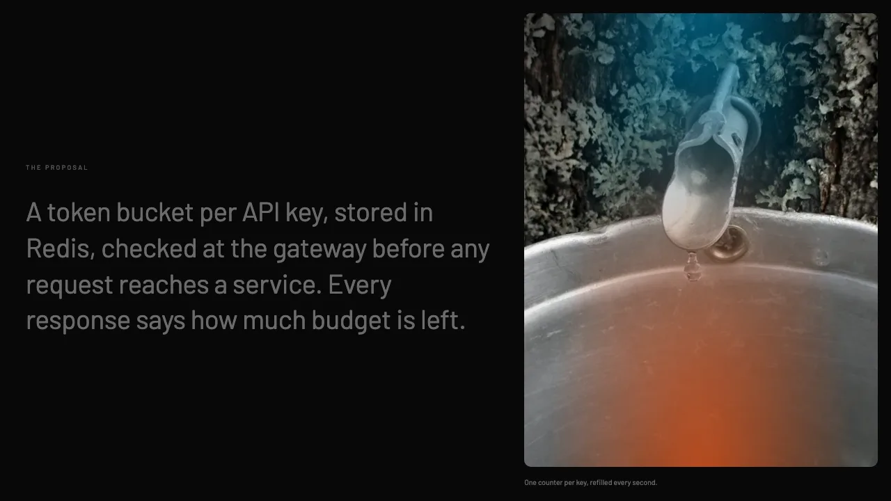 Rate Limiting the Public API, slide 3